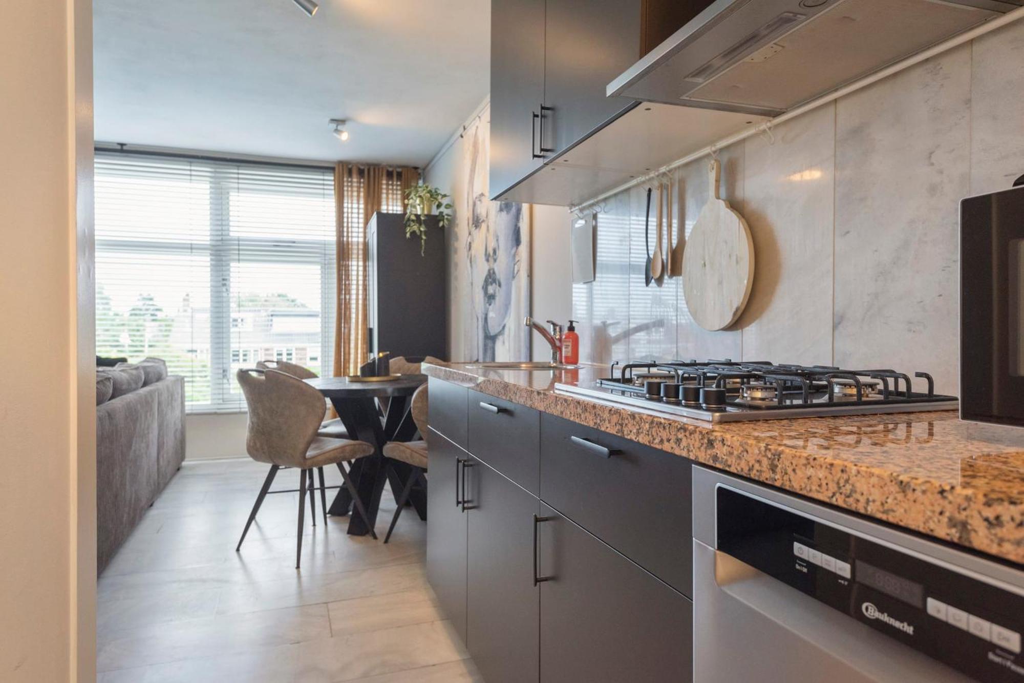 Apartment De Schelp 58 Zandvoort